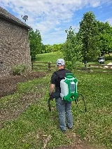 Titan Pest Pro - Springfield photo 5