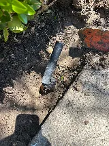 New West Landscape Management, Inc. photo 6
