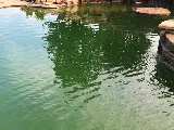 M&M Pools and Spas LLC photo 4