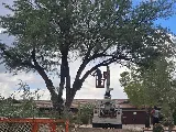 Centurion Landscaping photo 2