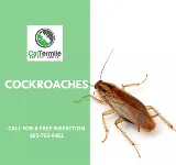 Cal Termite & Pest Control photo 8
