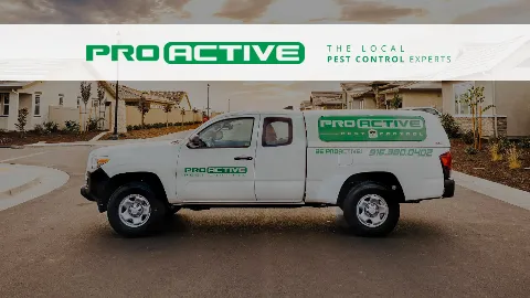 Pro Active Pest Control photo 1