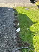 Insight Pest Control - Seattle photo 2