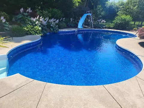 My Pool Guys photo 1