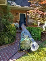 Bay Area Bed Bug photo 8
