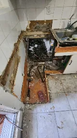 Drain Rex photo 5
