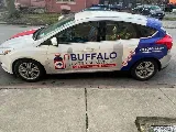 Buffalo Exterminators Inc photo 2
