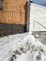 Vanquish Pest Management, Pittsburgh PA photo 7
