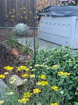 Gardelle Construction & Landscape, Inc. photo 6