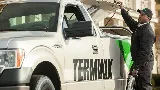 Terminix Canada Exterminateur Montréal photo 7