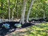 Miller's Landscaping photo 5