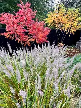 GardenLandscapes photo 5