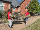 Discount Moving photo 5