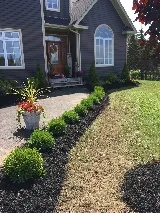 Landscaping experts Tree Planting, Sodding, Garden design photo 2