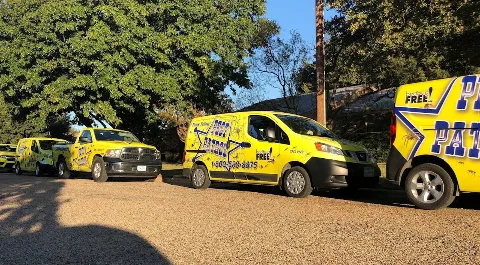 Pest Patrol in Abilene
