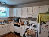 Pittsburgh Cabinet Painting photo 7