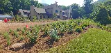 Mountain Meadow Landscaping photo 6