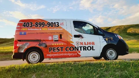 Major Pest Control Red Deer Inc in Red Deer
