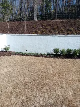 Michaelangelo's Sustainable Landscape & Design Group photo 5