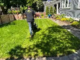Urban Roots Landscaping Tacoma LLC photo 2