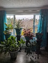 Weather Pro Windows and Doors photo 7