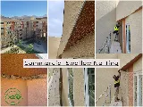 Quality Commercial Pest Control photo 8