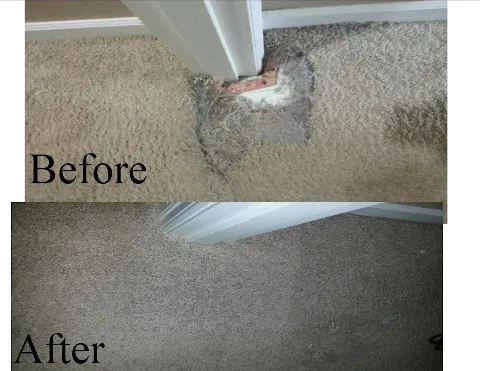 Armstrong Carpet Repair in Newport News