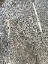 Parkland Floors photo 4