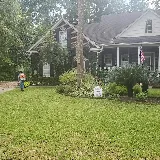 Alvarado Landscaping Llc photo 3