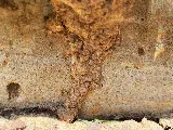 Hathuc Home & Commercial Services photo 8