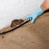 Central Oregon Pest Solutions (COPS) photo 2