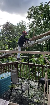 Lumberjacks Tree and Landscaping Services