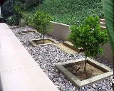 San Antonio Landscaping Services photo 7