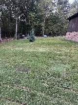 Green Matters Lawn & Landscaping photo 8