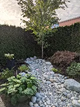 Black Cat Gardenscapes