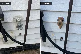 RS Plumbing LLC