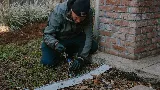 Royal Pest Service Inc photo 8
