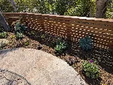 RainforestLA, Inc. photo 3