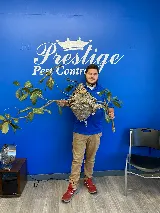Prestige Pest Control photo 3