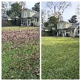 A&J Advanced Lawn Care Services photo 7