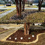 Yellow Jacket Landscaping, LLC photo 6