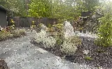 Dream Team Landscaping photo 7