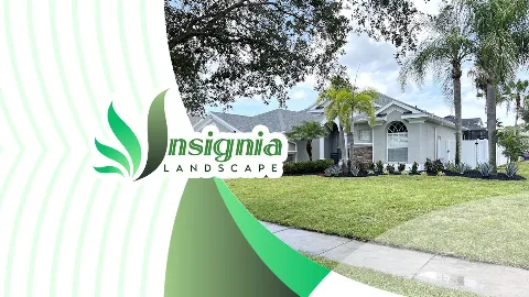 Insignia Landscape photo 1