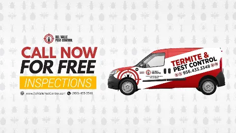 Del Valle Termite & Pest Control in McAllen
