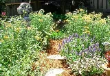 Harkness Gardens Landscaping photo 4