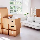 People-Move Moving photo 6