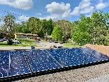 Parrot Solar photo 2