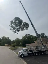 Perfect Landscape Tree & Services Inc