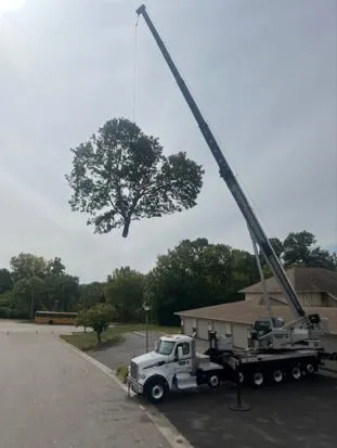 Perfect Landscape Tree & Services Inc in Burnsville