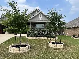 Toro Lawn Care & Landscaping, LLC photo 3